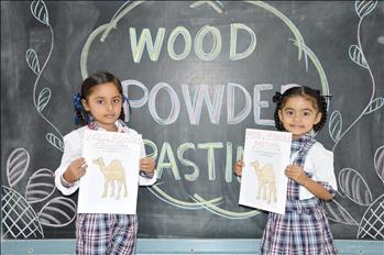 item_0_Activity-Wood_Powder_Pasting_(1)_resize.JPG